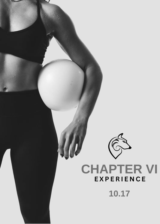CHAPTER VI EXPERIENCE